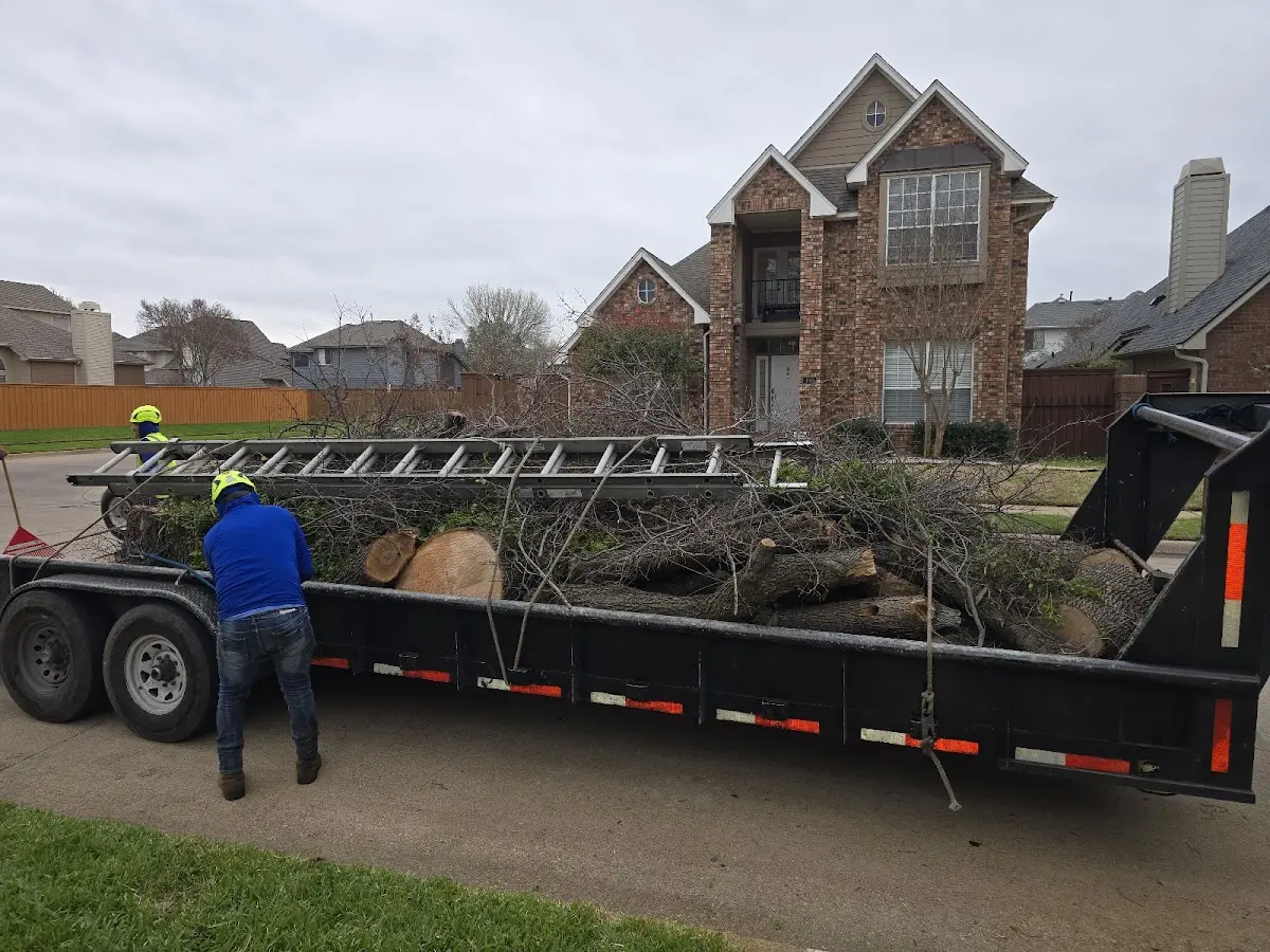 Expert Tree Fertilization with proper safety equipment in Rayville